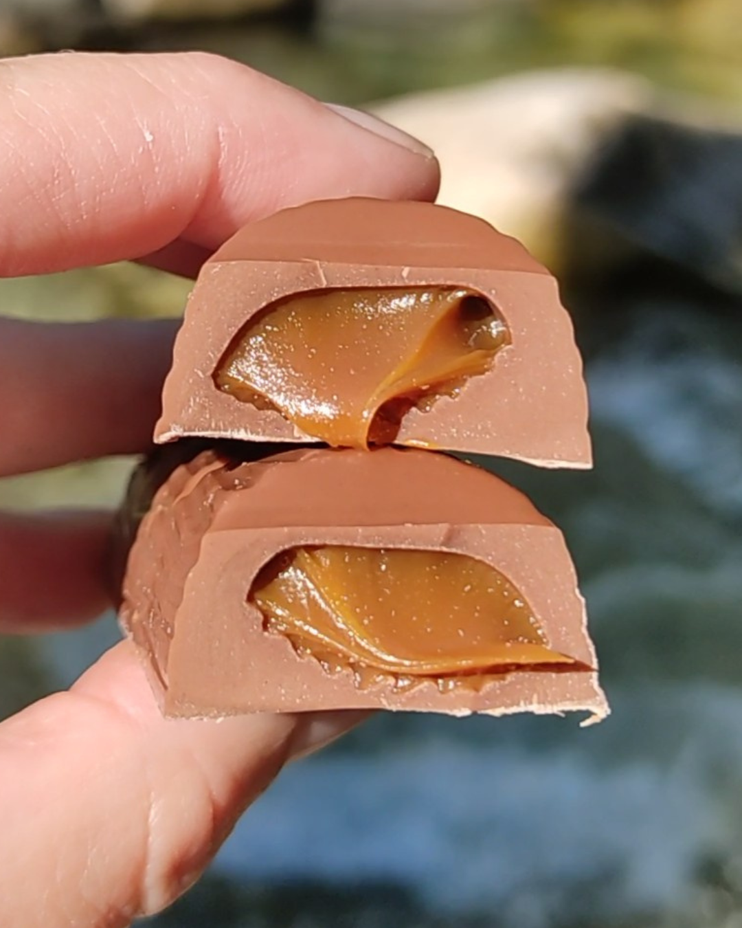 Milk DL Bar