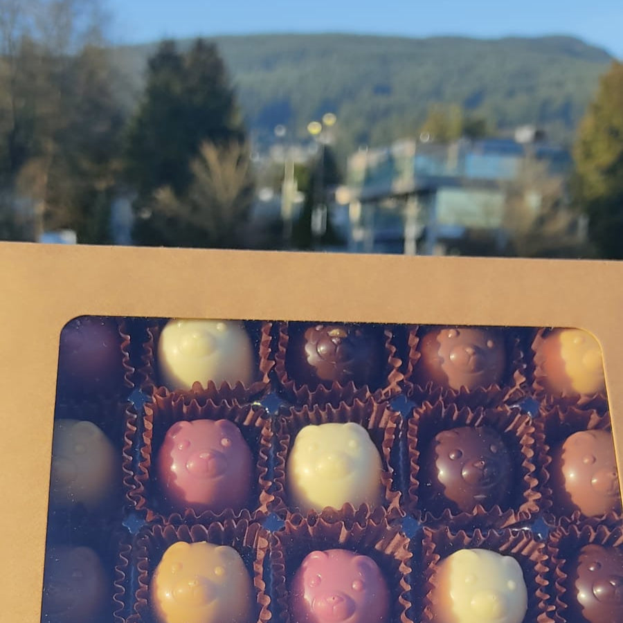 Teddy Box 25