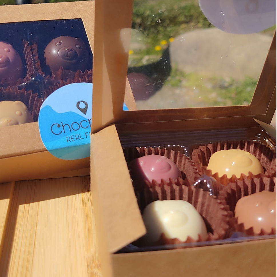 Four artisan bonbons in a kraft window box, two with red and two with blue designs, nestled in gold paper cups beside a chocolate teddy bear