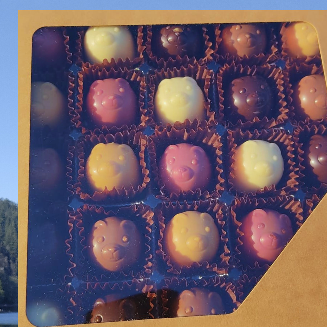 Teddy Box 25 – Assorted bonbons with rich ganache fillings, handmade by Chocnook