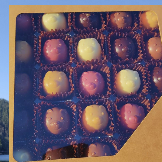Teddy Box 25 – Assorted bonbons with rich ganache fillings, handmade by Chocnook